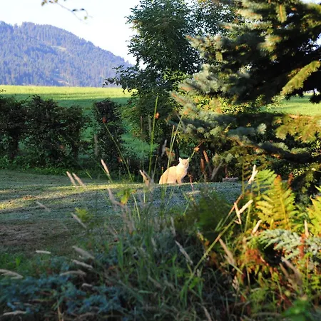 Apartment Haus Poell Prama